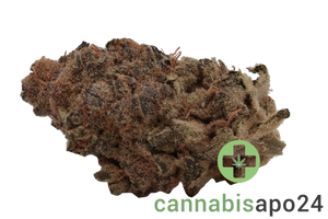 Soma OG 24/1 CC Black Cherry Punch