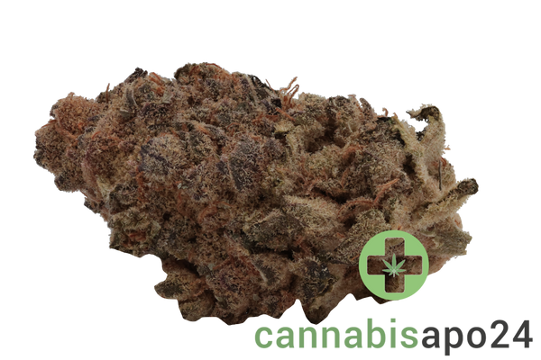 Soma OG 24/1 CC Black Cherry Punch