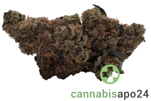 Soma OG 30/1 PF Spritzer