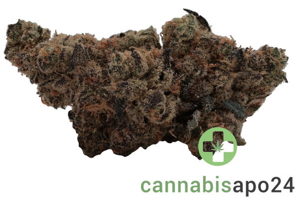 Soma OG 30/1 PF Spritzer