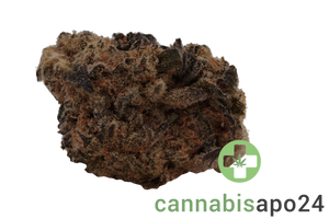 Soma OG 34/1 Cap Junky