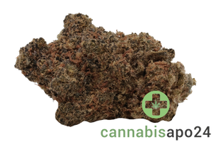 Organic Sweetgrass MCC 25/1 Mint Chocolate Chip