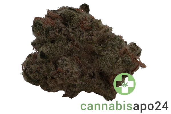 THC Akut MG 28 BCP Black Cherry Punch