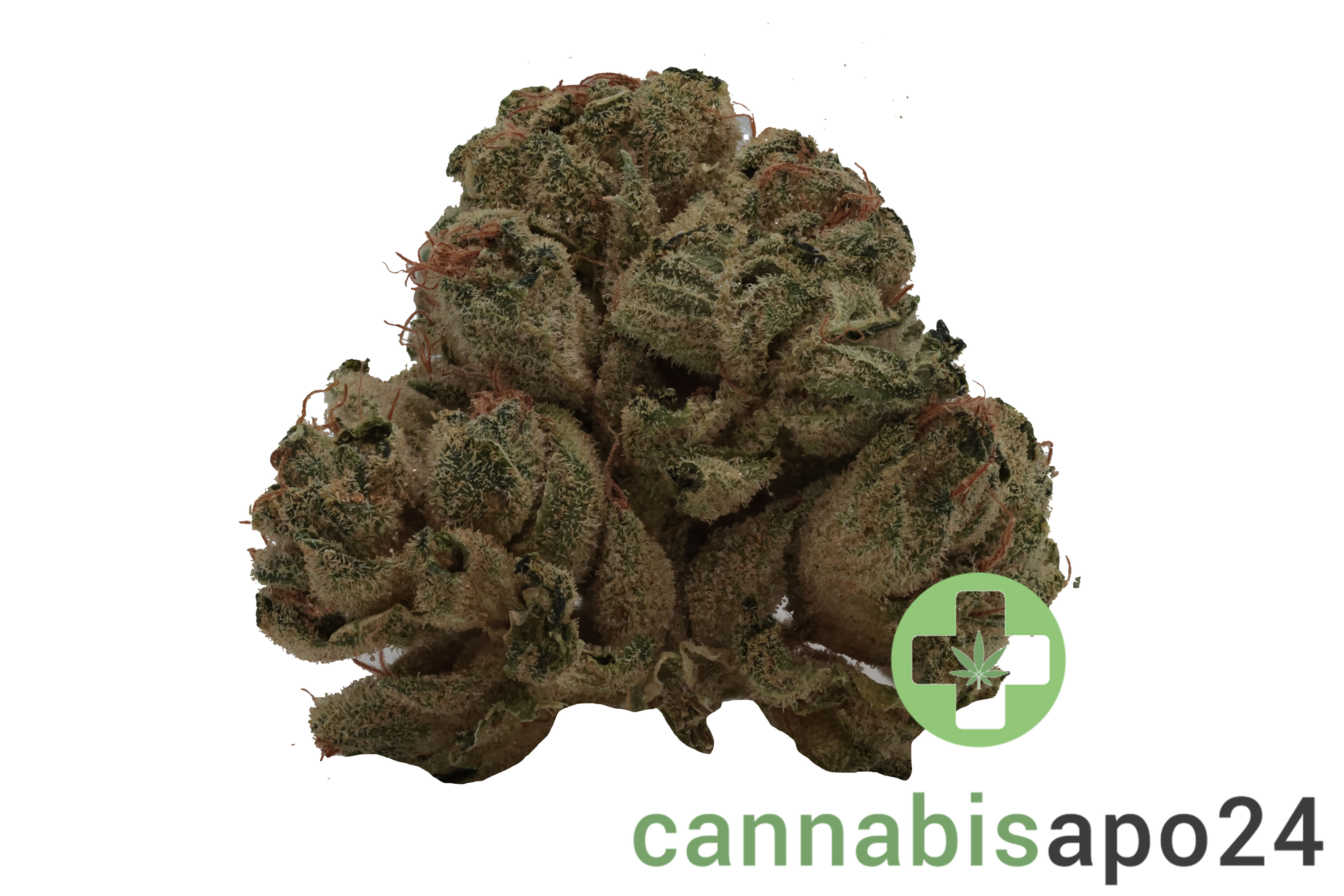 Tilray Craft THC22 BCR Beach Crasher