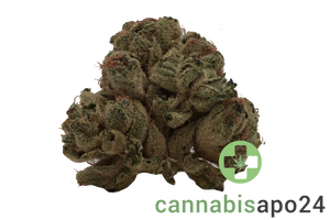 Tilray Craft THC22 BCR Beach Crasher