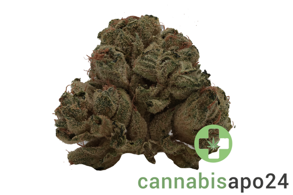 Tilray Craft THC22 BCR Beach Crasher