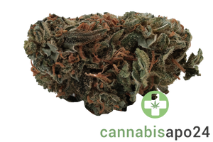 Tilray THC22 Bienville