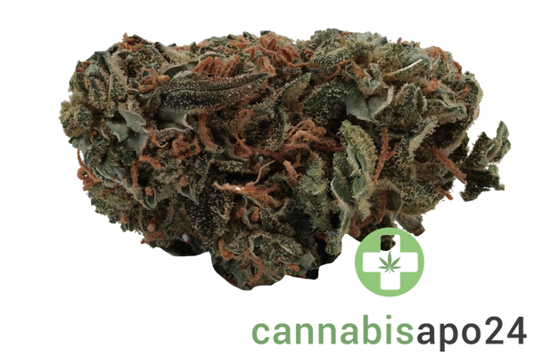 Tilray THC22 Bienville