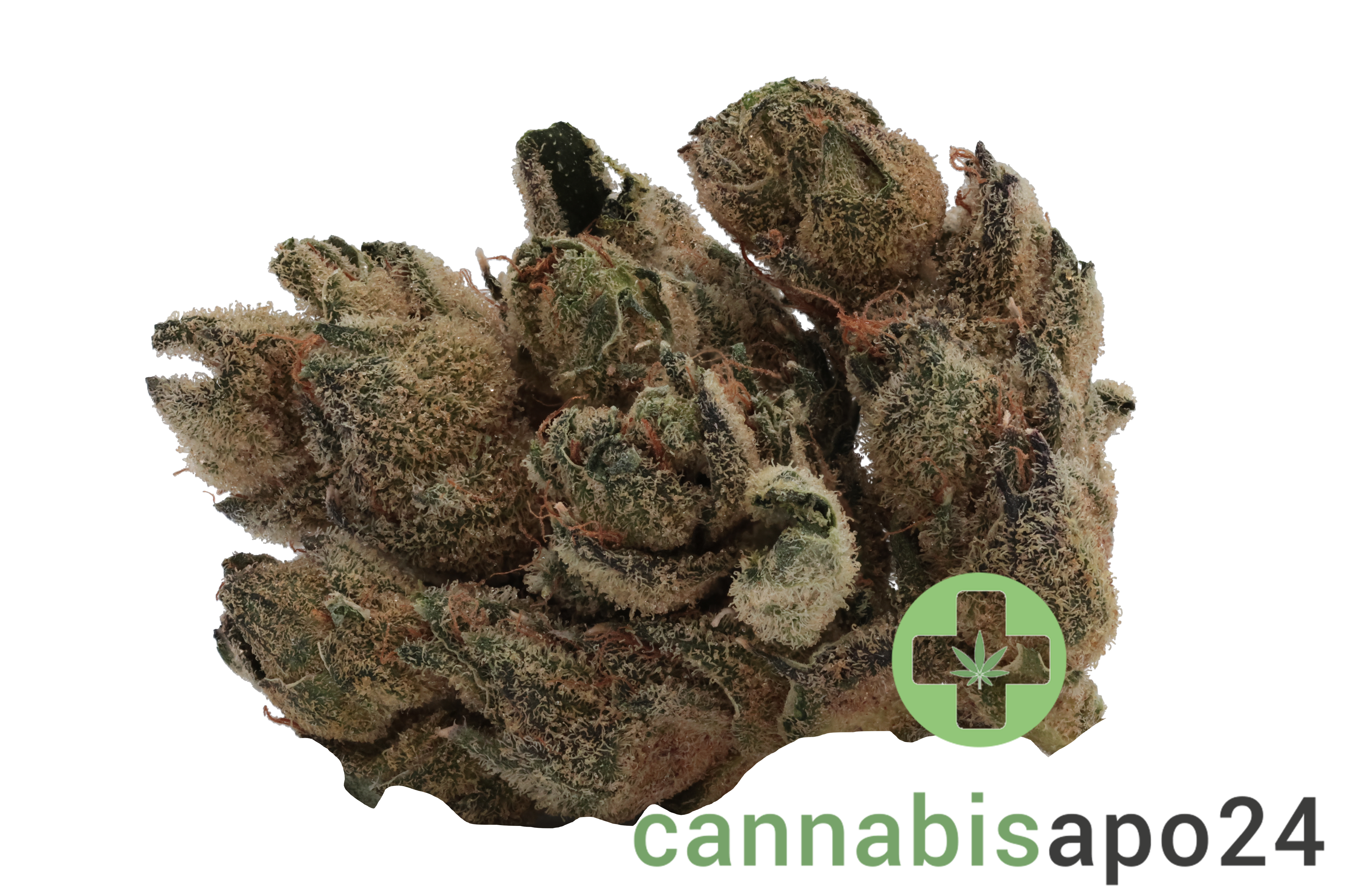 Tilray THC22 Spotlight Porto - Frosted Cherry Cookies