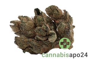 Tilray THC22 Spotlight Porto - Frosted Cherry Cookies