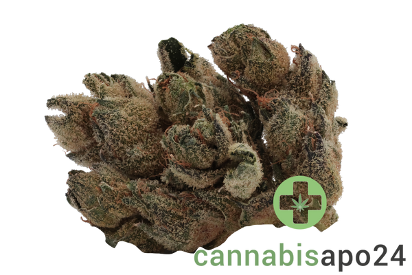 Tilray THC22 Spotlight Porto - Frosted Cherry Cookies