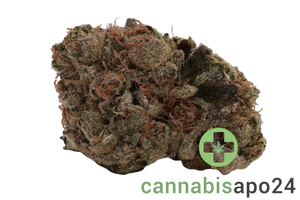Tilray THC22 Spotlight Porto Triangle Mints