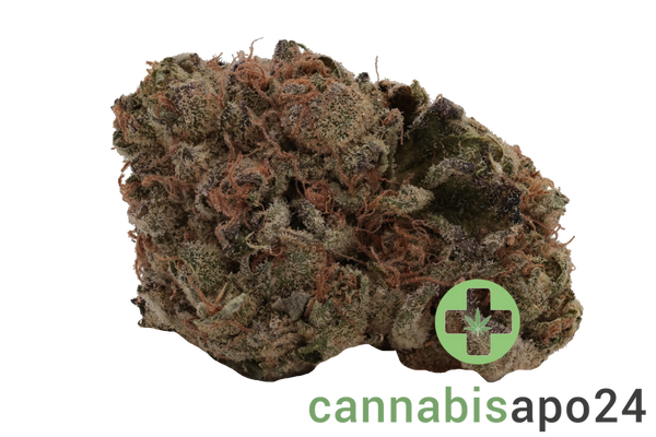 Tilray THC22 Spotlight Porto Triangle Mints