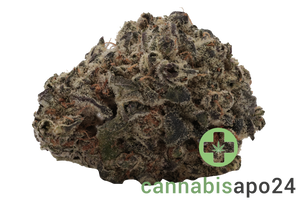 Top Shelf Medical 34/1 MTL WCK Wes' Coast Kush