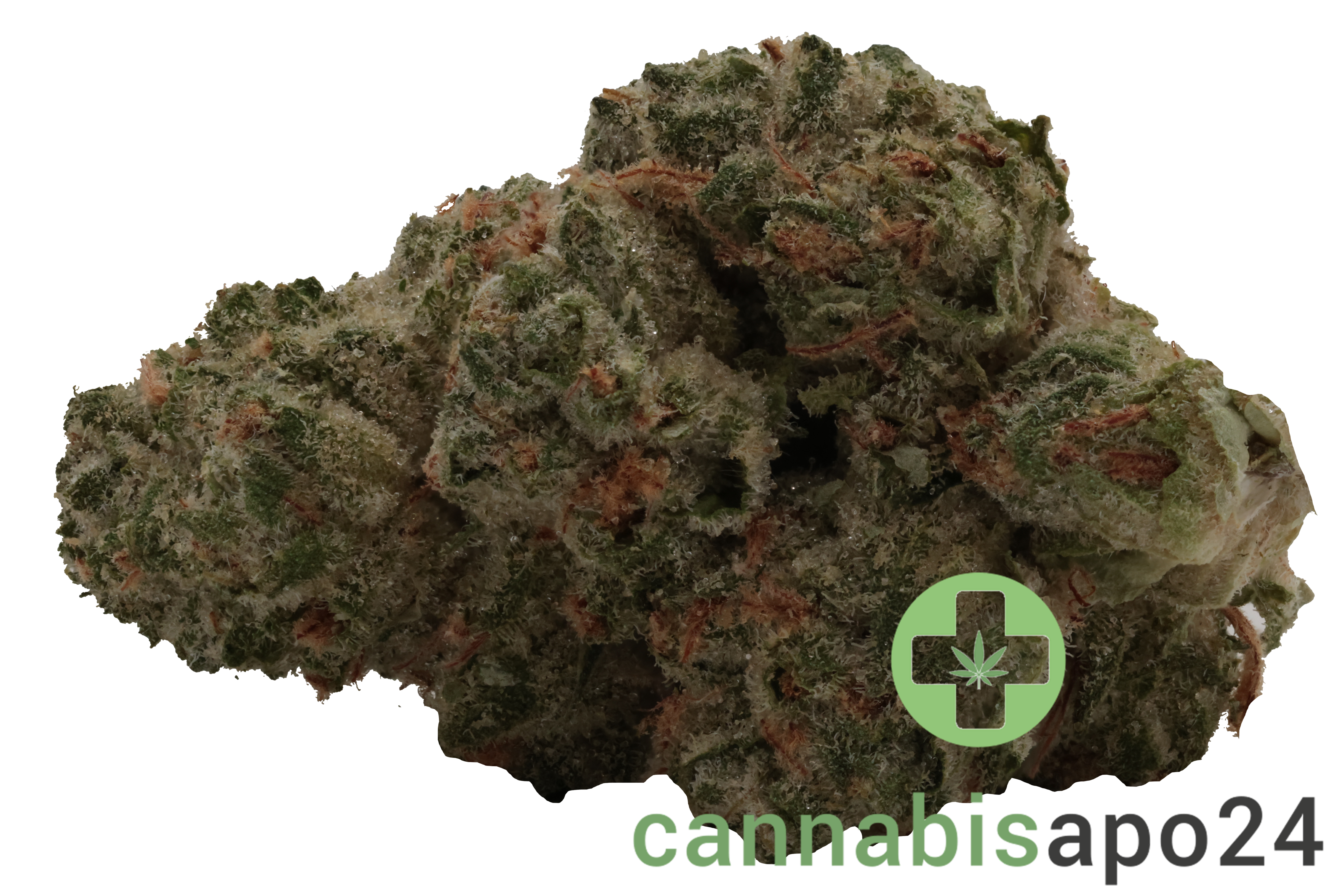 TRUU GT 28:01 Cookies OG