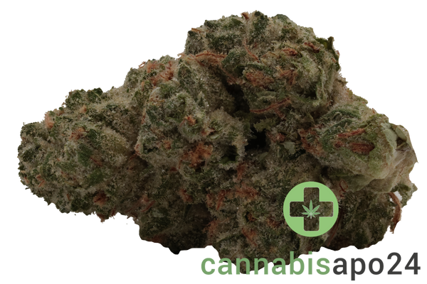 TRUU GT 28:01 Cookies OG