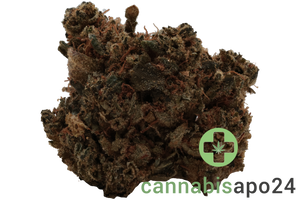 Wellford Peak 30/1 CA T95 Tres Dawg X I-95