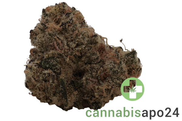 Wildlife 24 BG CAN Blackberry Gelato