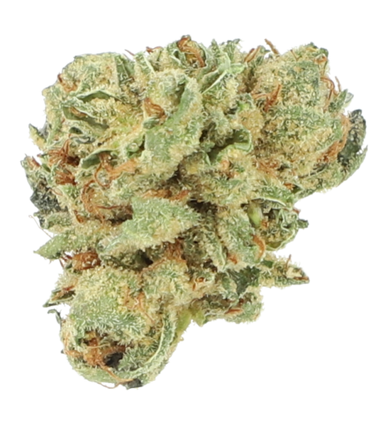 Cannamedical Hybrid Classic - Headband