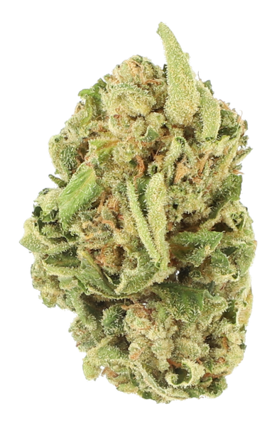 Cannamedical Hybrid forte NG - Dark Side of the Moon