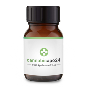 CannabiStada THC 10 CBD 10 CA - Extrakt