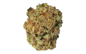 Cannamedical 20/1