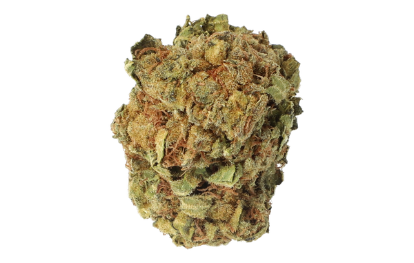 Cannamedical 20/1