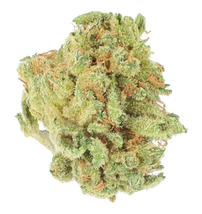 Cannamedical Hybrid classic Lost Cause