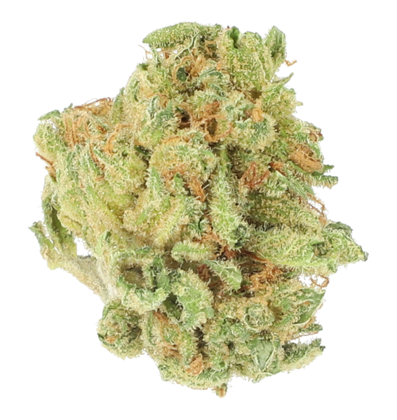 Cannamedical Hybrid classic Lost Cause