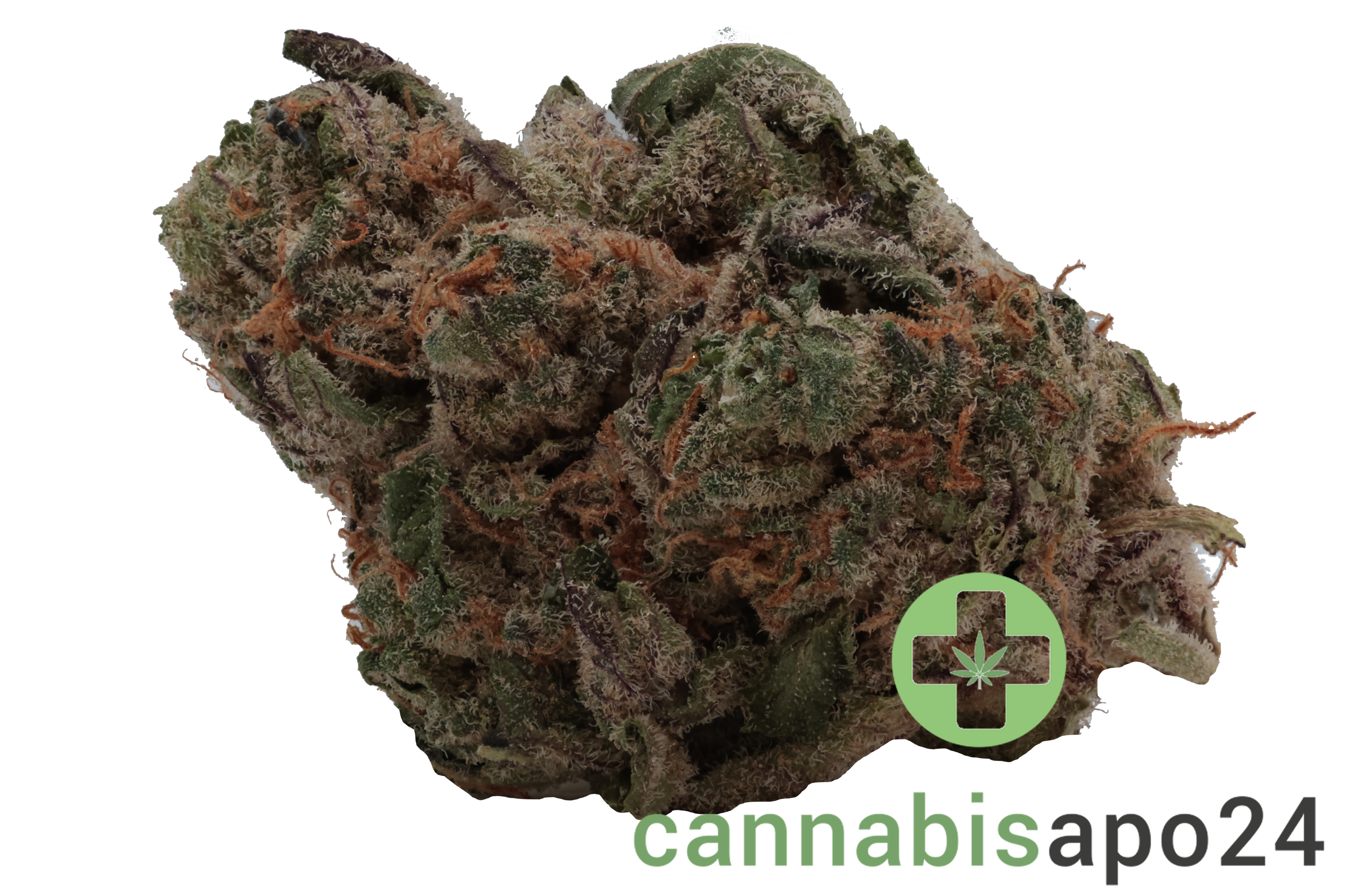 20/1 BC Green Pink Grapes