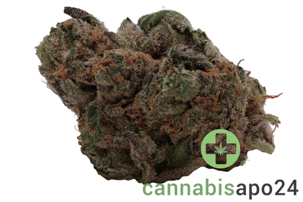 20/1 BC Green Pink Grapes