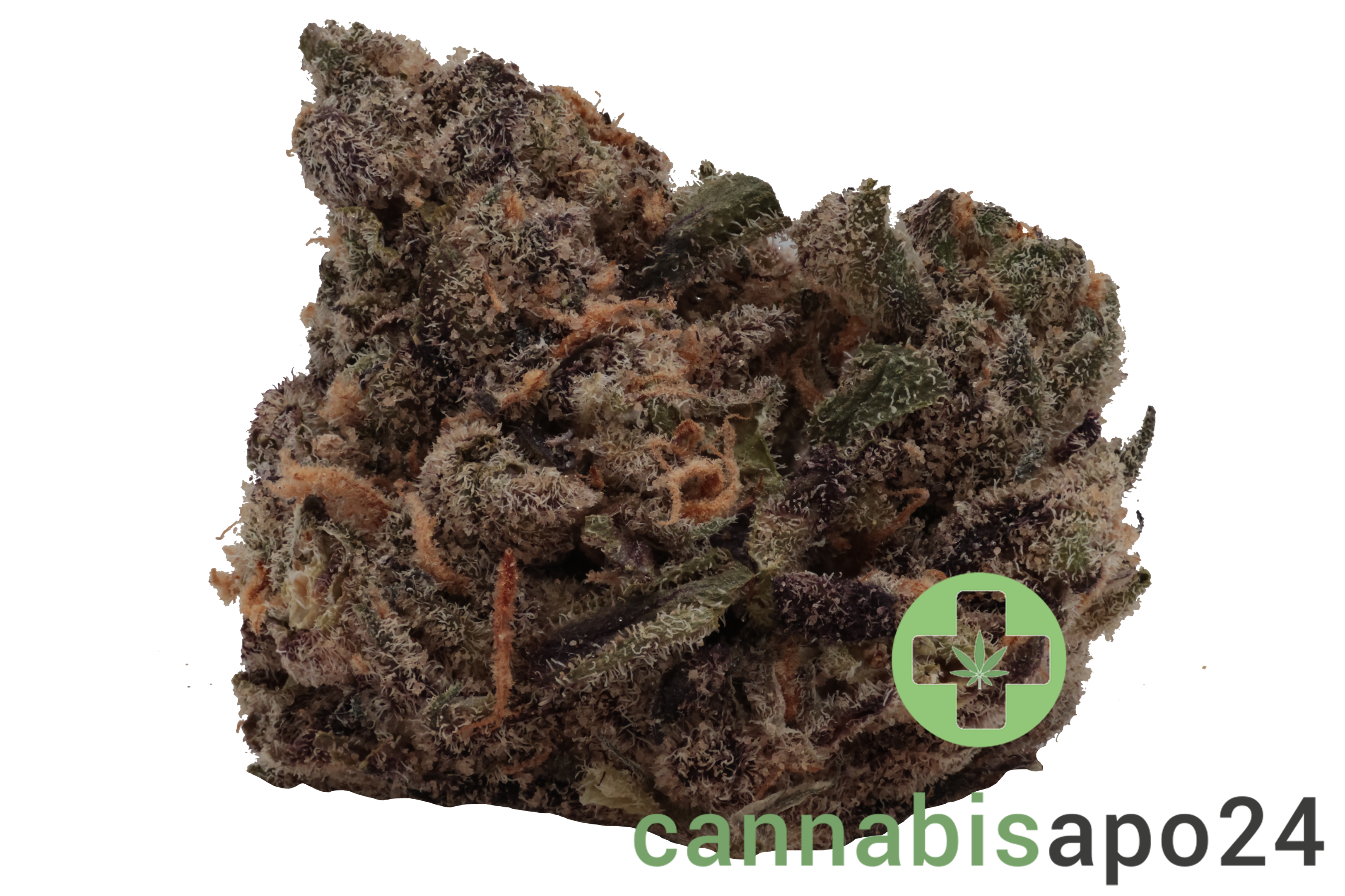 20/1 BC Green Tribute