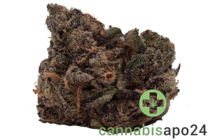 20/1 BC Green Tribute