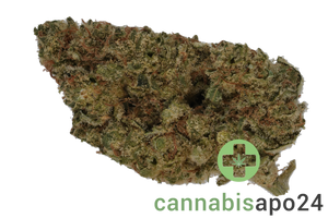 22/1 Amici FTY Fruity Pebbles