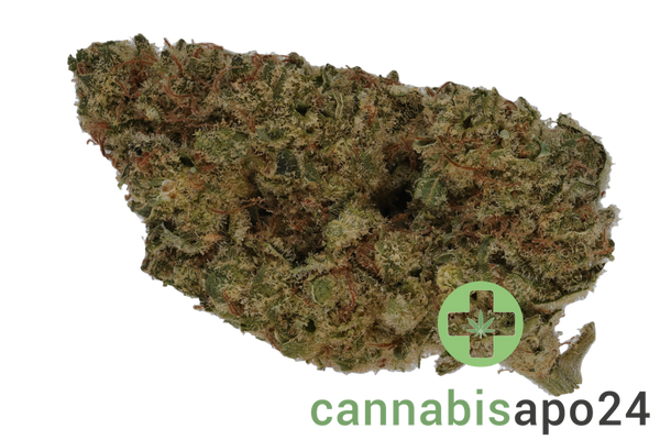 22/1 Amici FTY Fruity Pebbles