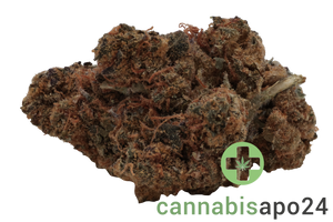 29/01 Calimed craft No. 8 - Apples & Bananas x Jealousy