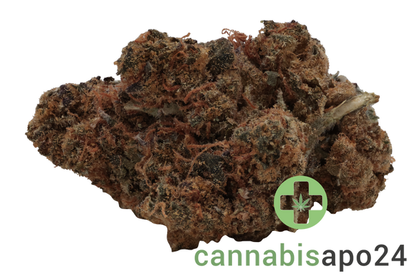 29/01 Calimed craft No. 8 - Apples & Bananas x Jealousy