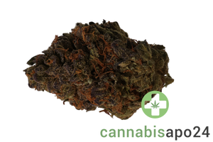 30/1 Amici GROG Grape OG