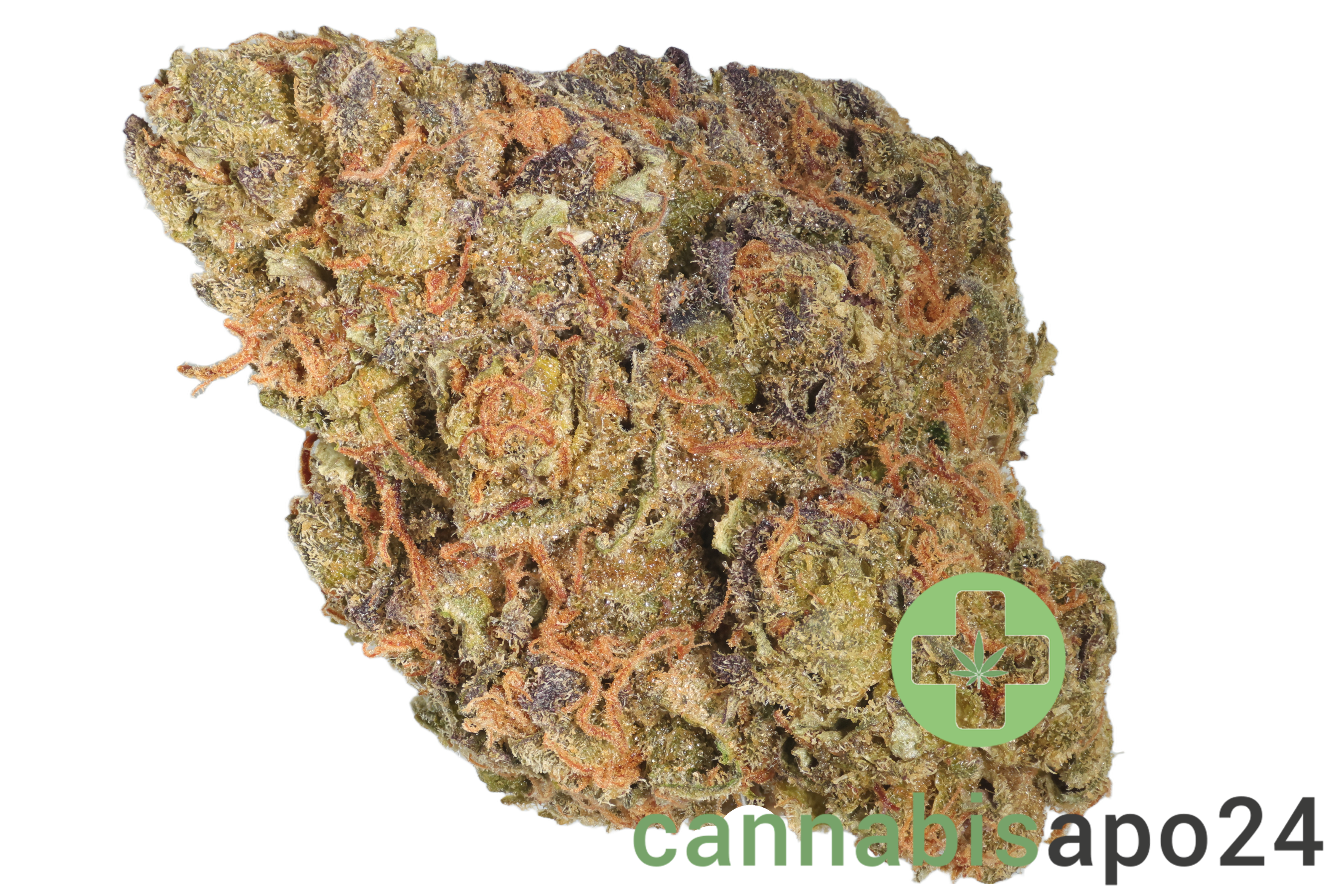 30/1 Amici GROG Grape OG