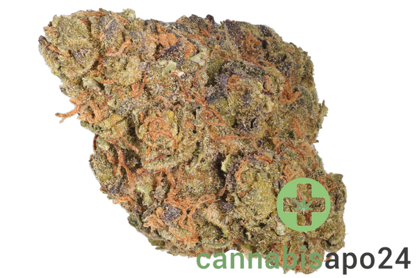 30/1 Amici GROG Grape OG