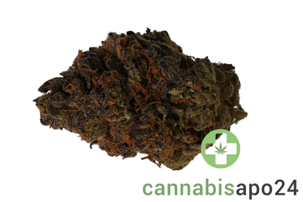 30/1 Amici GROG Grape OG