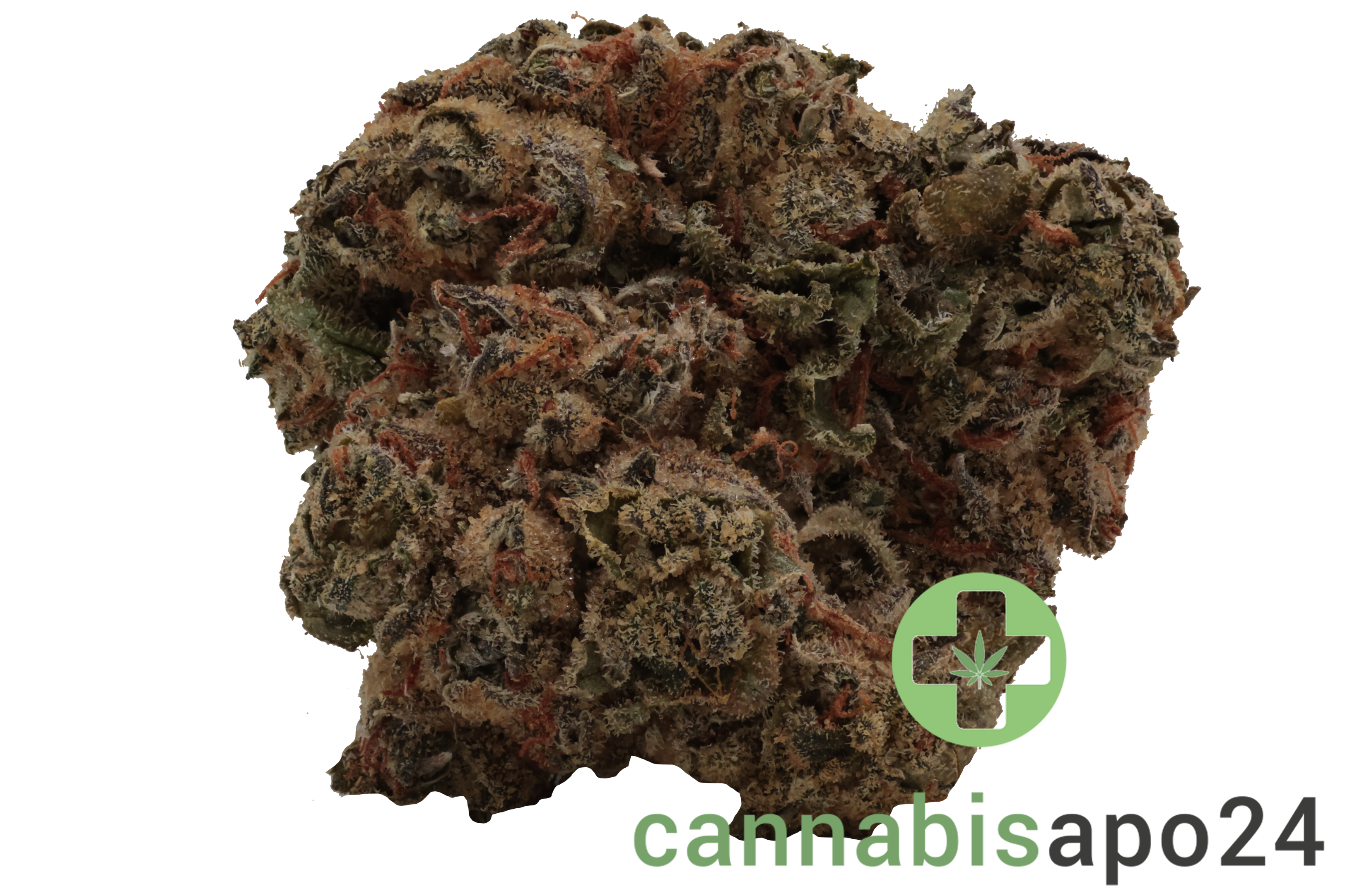 Nice 30/1 TRG GMO Tropical Gelato