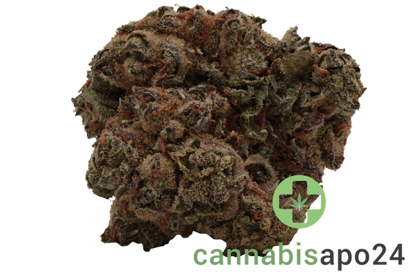 Nice 30/1 TRG GMO Tropical Gelato