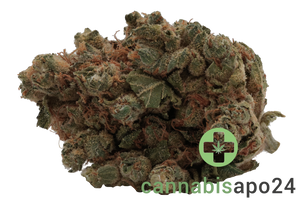 BC Green TCK 30/1 Tiger Cake