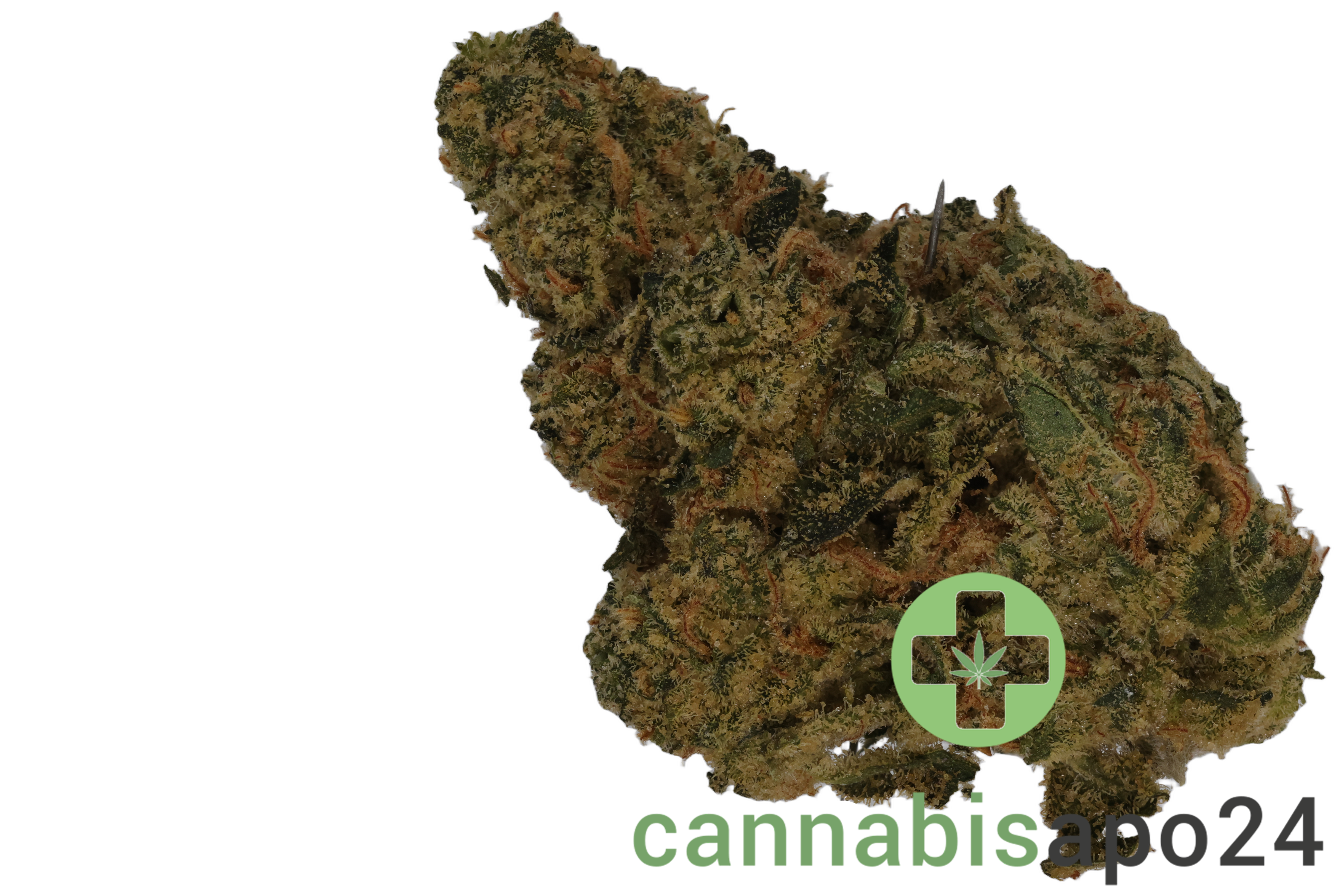 33/1 Amici AC Animal Cookies