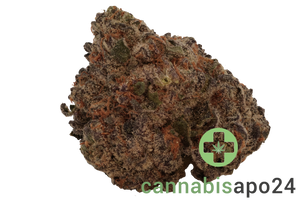 420 Evolution 27/1 CA MFG Modified Grapes