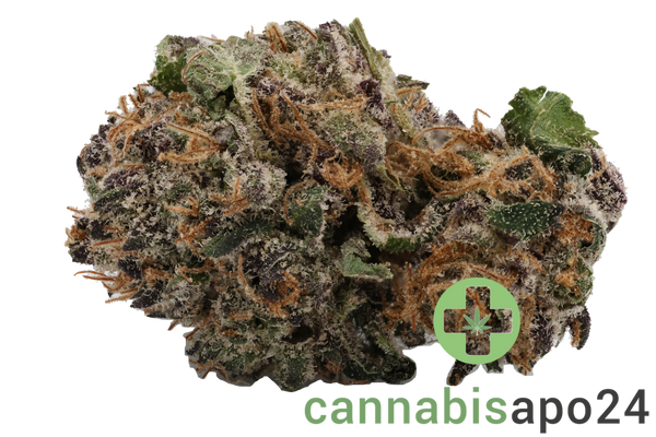 420 Natural 20/1 CA DBB - Cannabisapo24.de