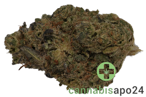 420 Evolution 27/1 CA SSK Strawberry Skrilla