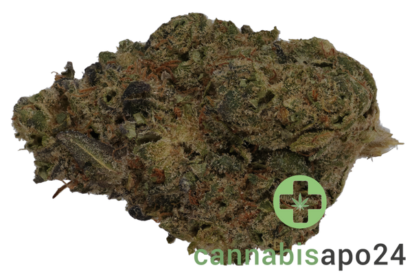 420 Evolution 27/1 CA SSK Strawberry Skrilla