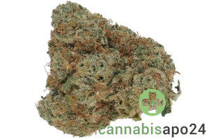 420 Evolution 30/1 CA CBB Cherry Bang Bang